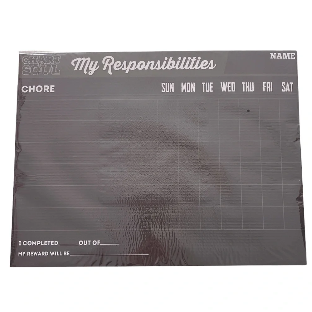 NEW Chart & Soul Magnetic Chore Chart